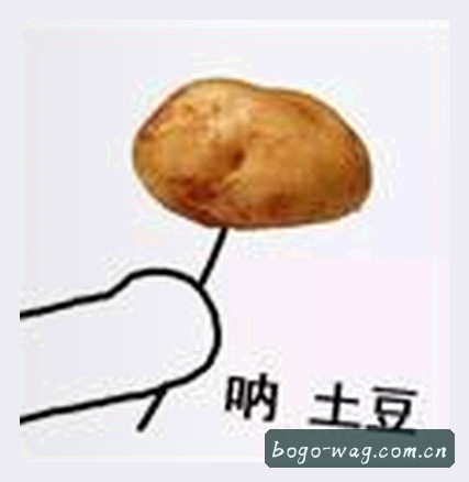赵总