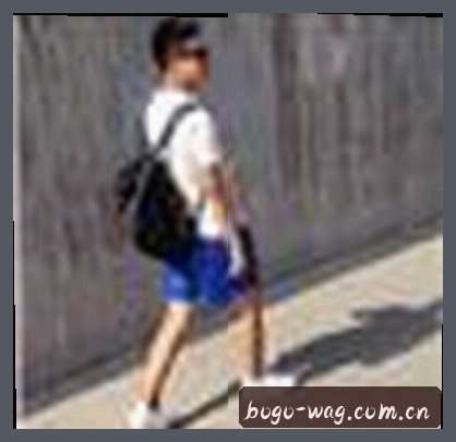 吴总